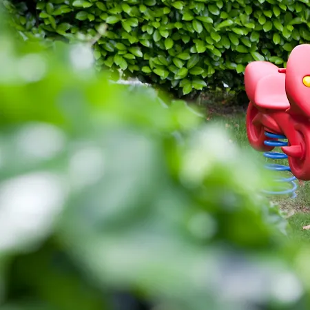 Belvedere Hotell Locarno