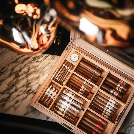 Belvedere 로카르노